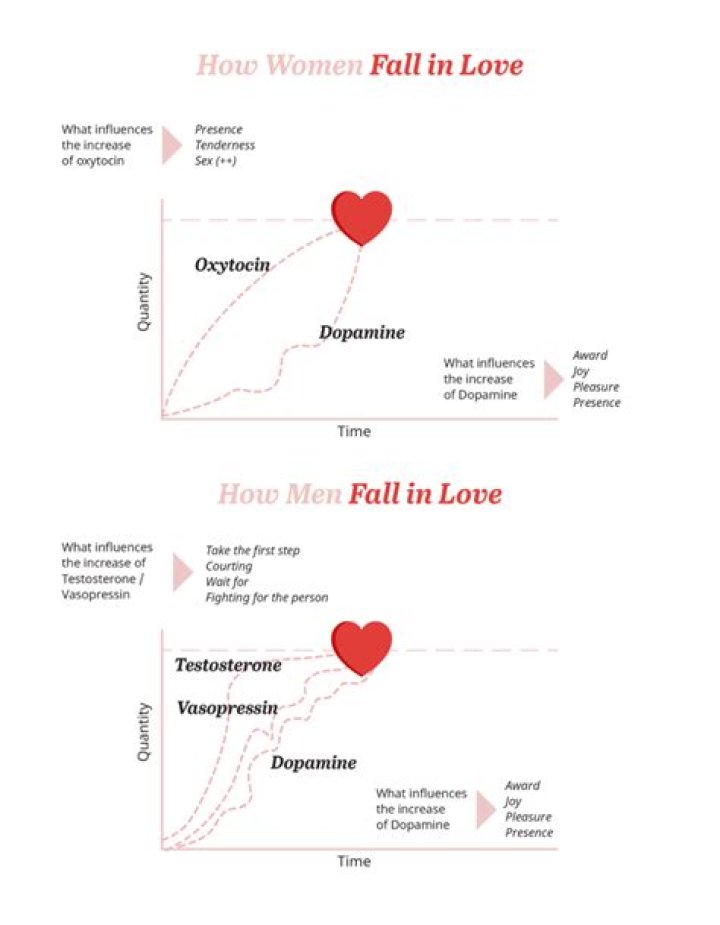 How a man falls in love psychology?
