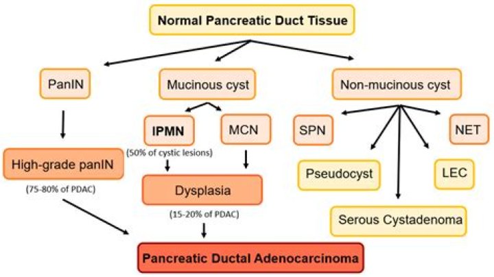 How are premalignant lesions managed?