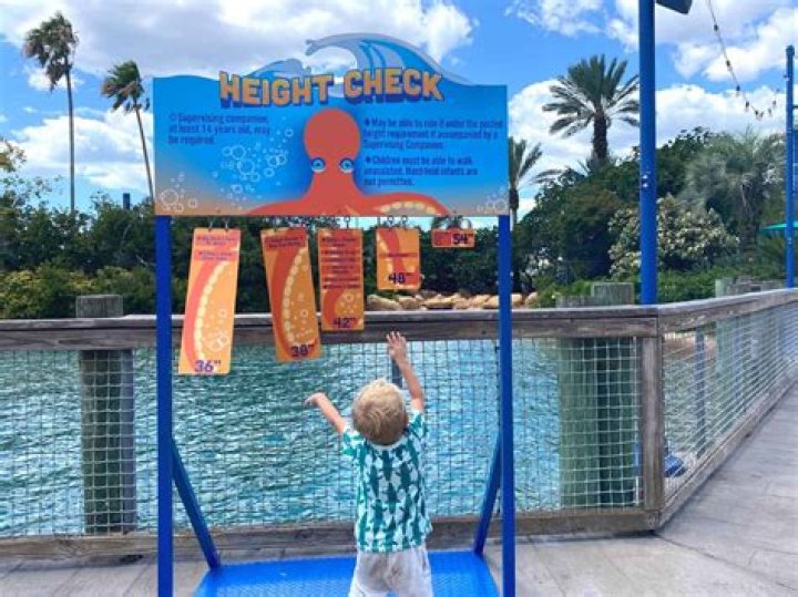 How big do you have to be to fit a Magnum XL?