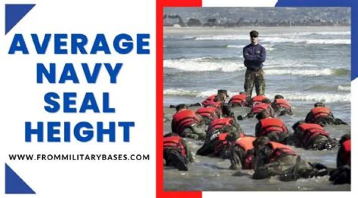 How big is the average Navy SEAL?