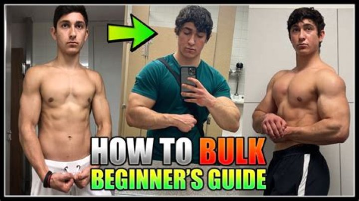 How can I bulk up my arms?