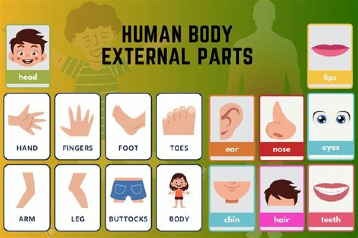 How can I get the body I want?
