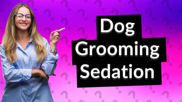 How can I sedate my dog safely at home?