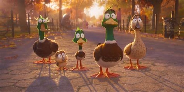 How do birds grieve?