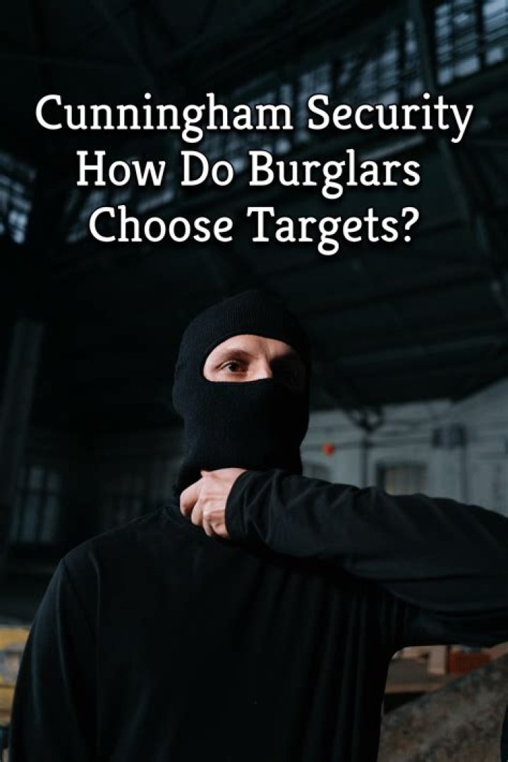 How do burglars choose their targets?