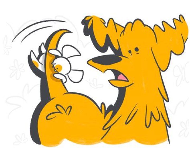 How do dogs feel on planes?
