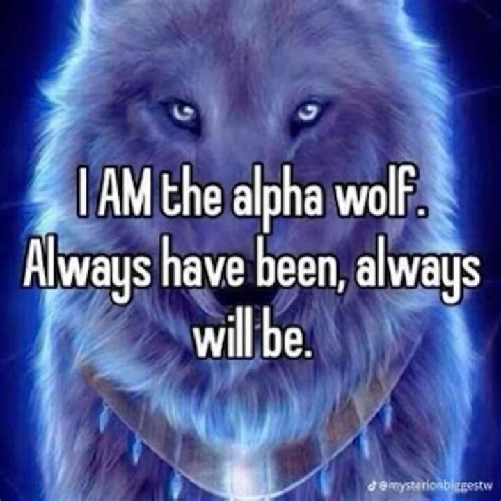 How do I ensure I am the Alpha with my dog?
