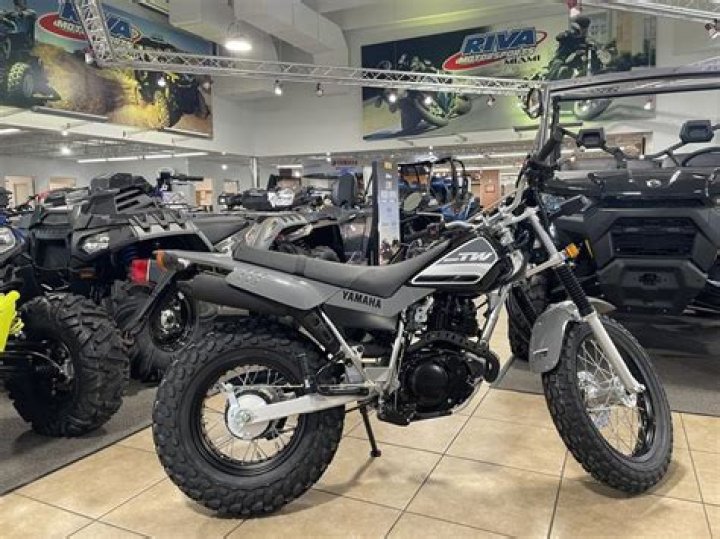 How do I get a new Disney blue ID?