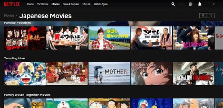 How do I get Japanese Netflix?