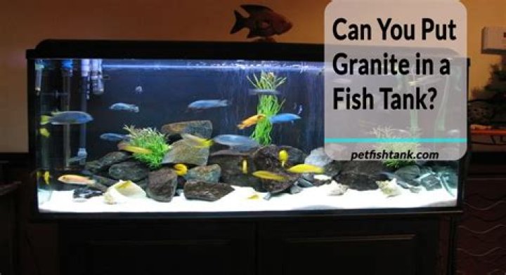 How do I get rid of poop in my fish tank?