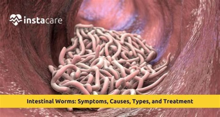 How do I get rid of worms in my throat?