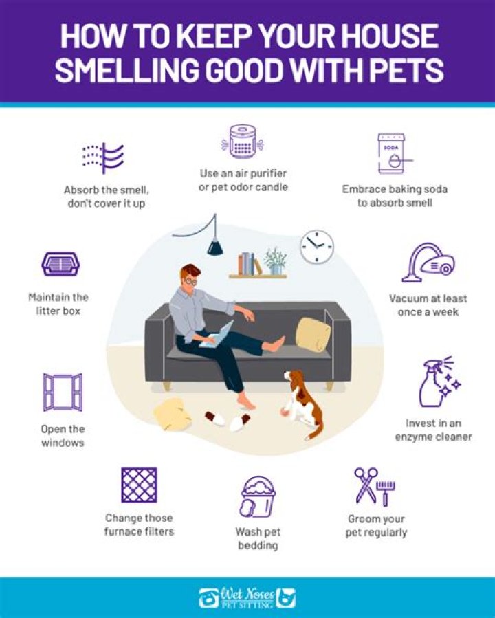 How do I keep my house from smelling like cat litter?