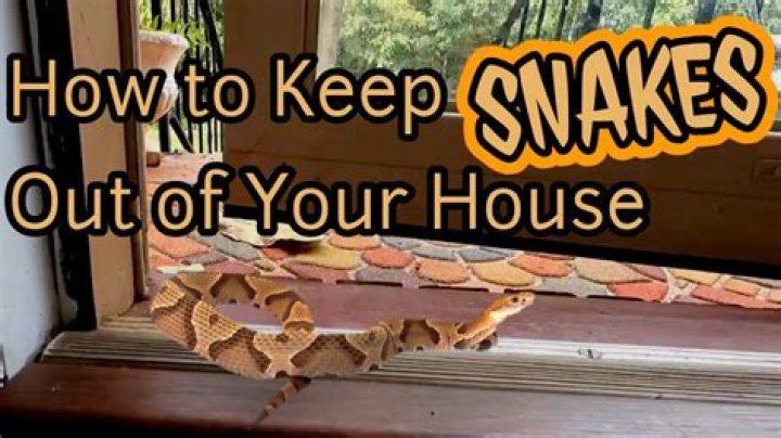 How do I keep snakes from living under my deck?