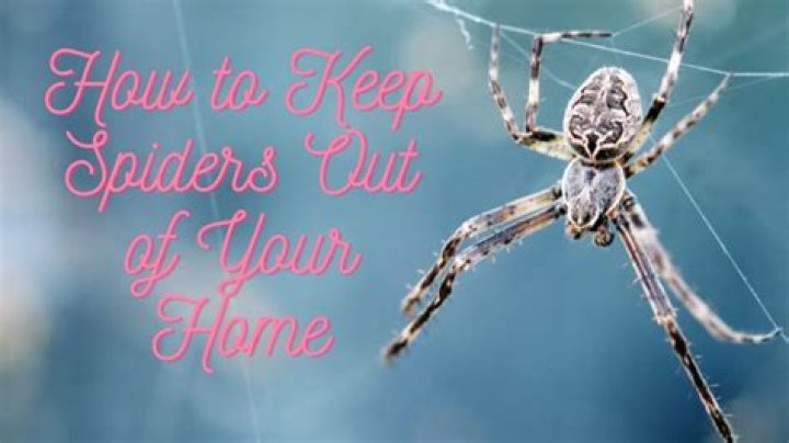 How do I keep spiders off my bed?