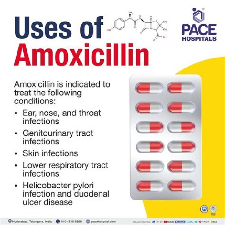 How do I know if amoxicillin is working?