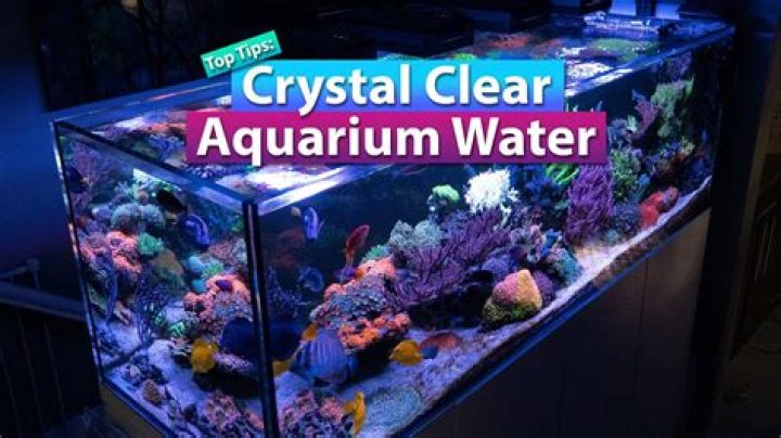 How do I make my fish tank water clear?