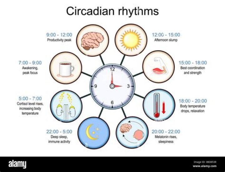 How do I reset my circadian rhythm on Reddit?