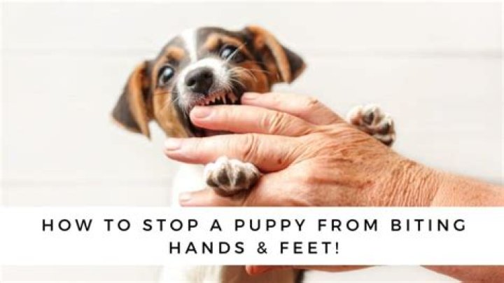 How do I stop my hands from ripping?
