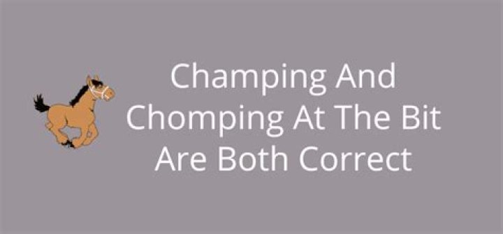 How do I stop my horse from chomping at the bit?