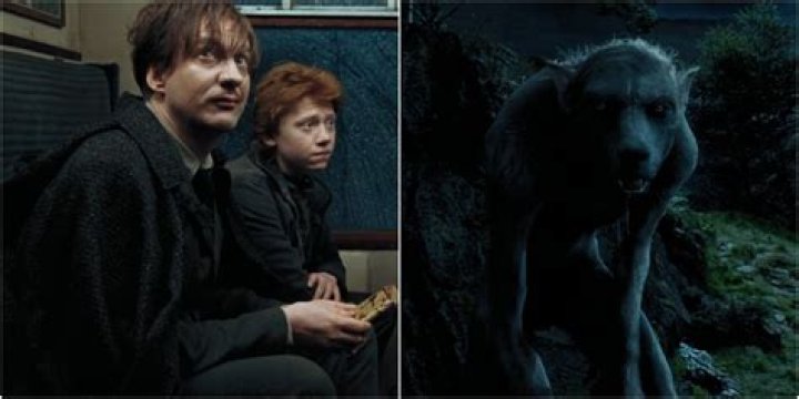 How do I turn back from a werewolf?