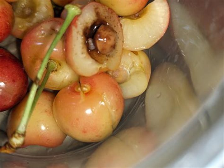 How do maggots get in cherries?