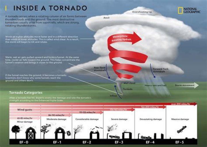 How do pets prepare for tornadoes?