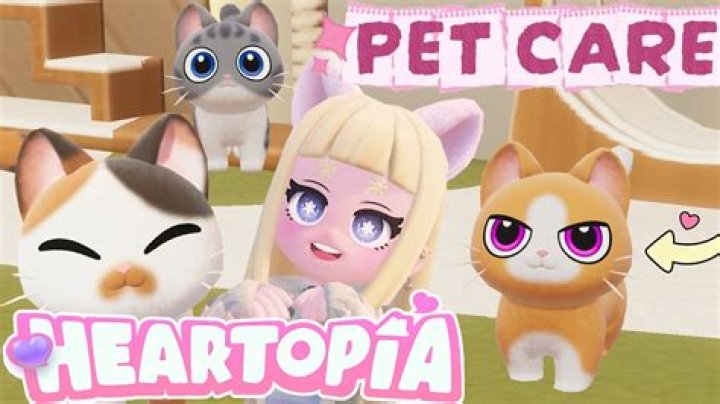 How do you adopt a pet elf?