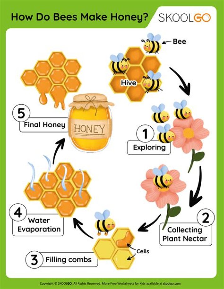 How do you attract bees quickly?