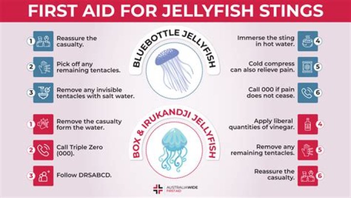 How do you avoid getting stung by a jellyfish?