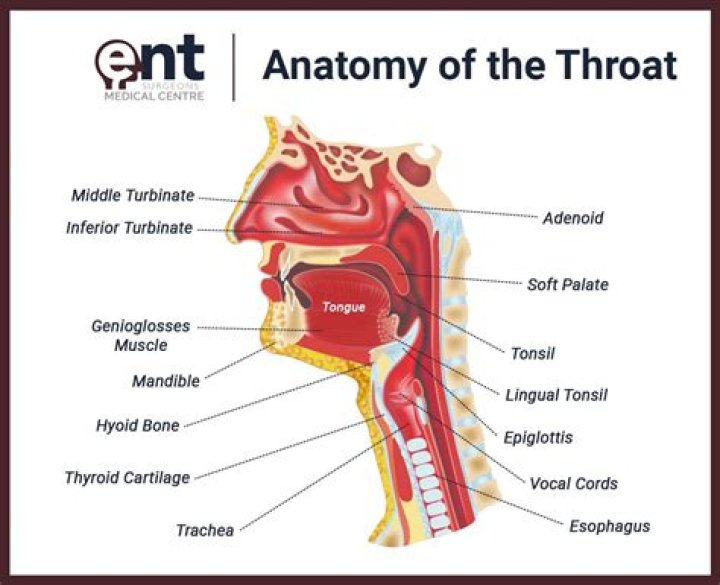 How do you bass a throat?
