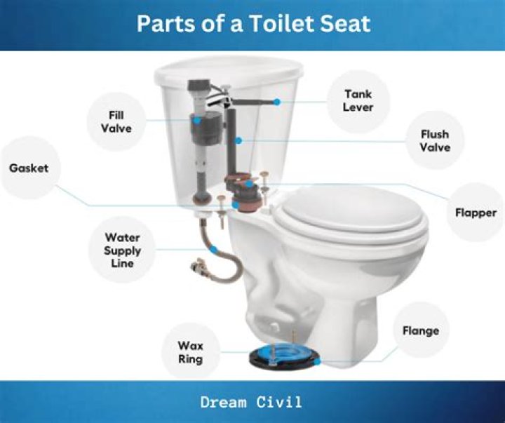 How do you check a toilet for leakage dye?