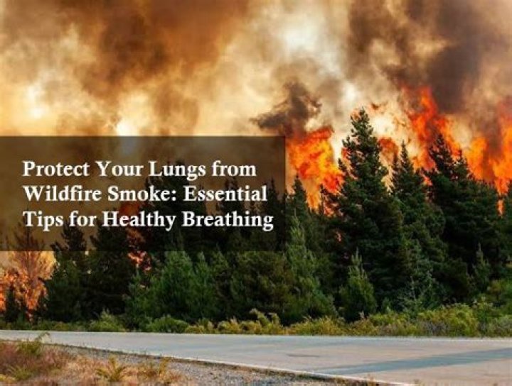 How do you detox your lungs from wildfire smoke?
