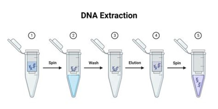 How do you extract tannin?