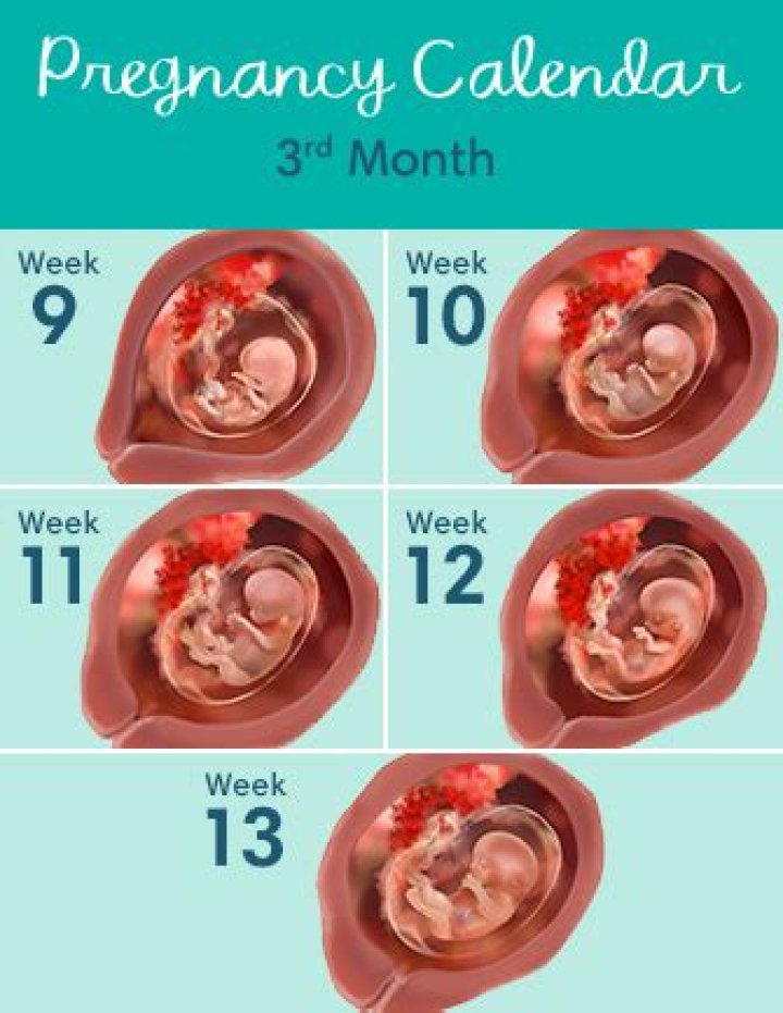 How do you feel at 3 weeks pregnant?