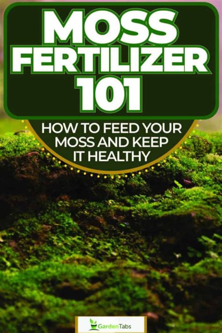 How do you fertilize moss?