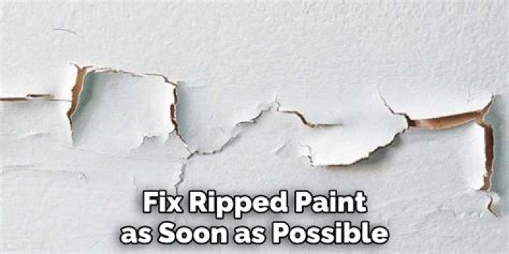 How do you fix ripped paint?