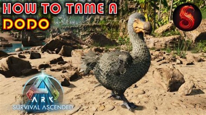 How do you force tame in Ark?