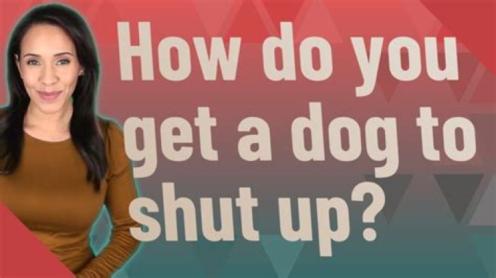 How do you get a dog to shut up?