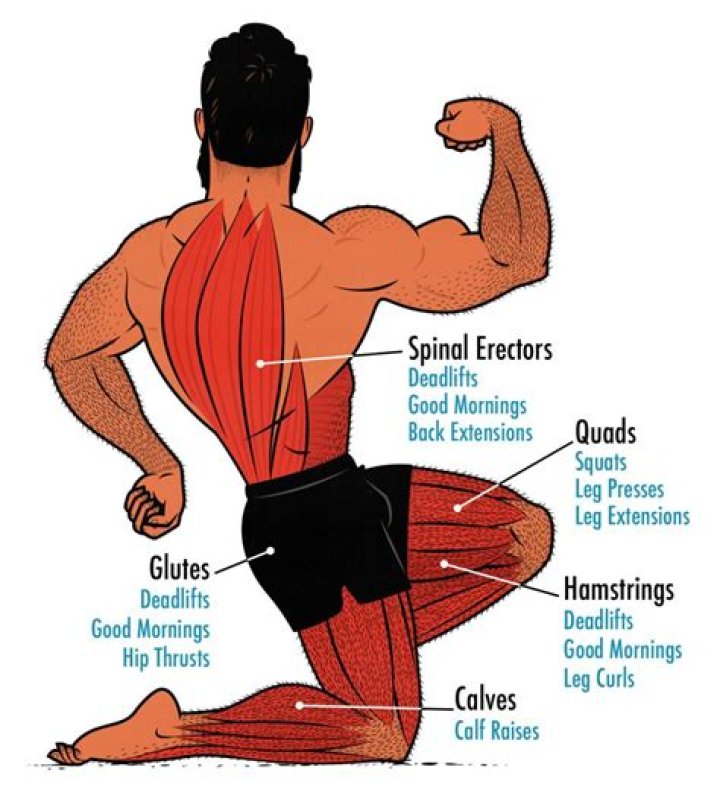 How do you get your leg strength back?