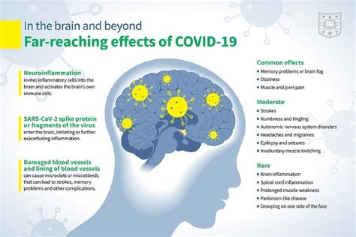 How do you heal COVID brain fog?