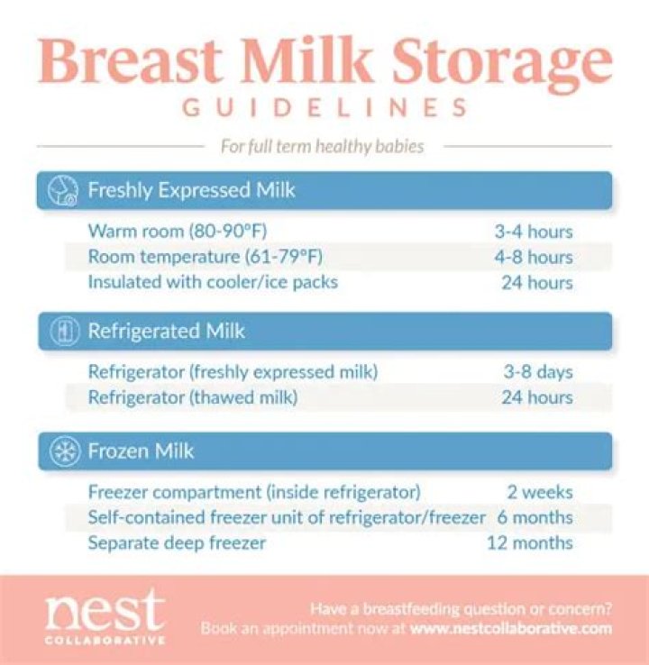 How do you keep breast milk frozen on a plane?