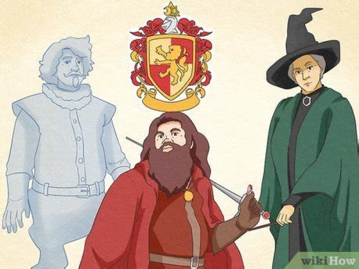 How do you know if your a true Gryffindor?