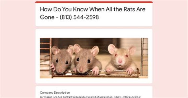 How do you know when all the rats are gone?