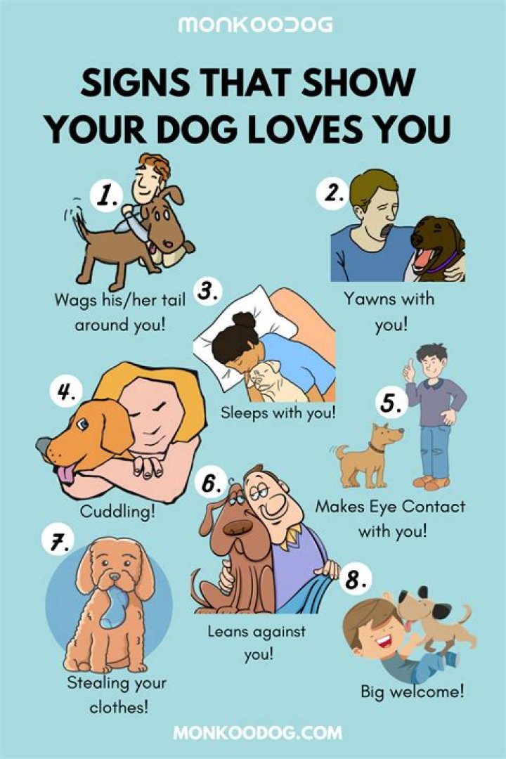 How do you know your pet loves you?