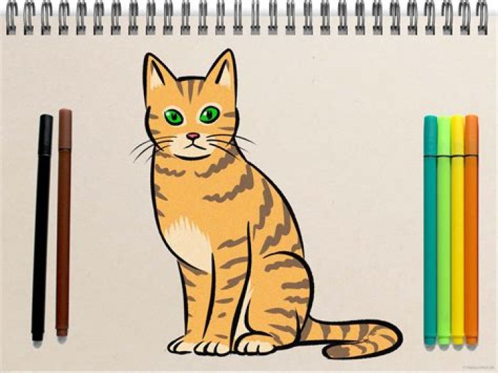 How do you live with a cat you hate?