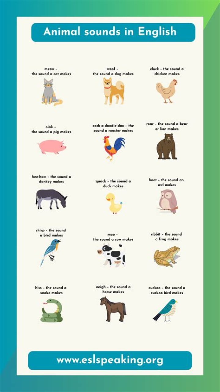 How do you make Alexa animal sounds?