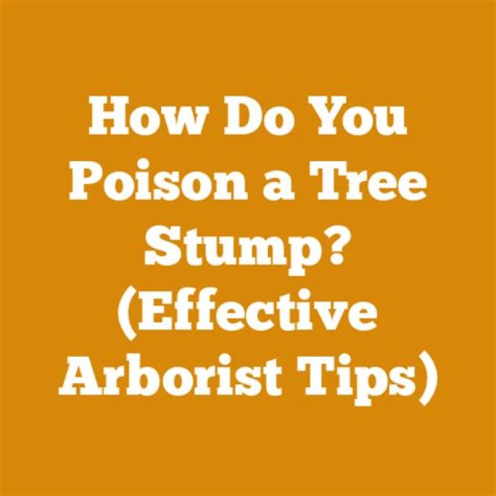 How do you poison a tree stump?