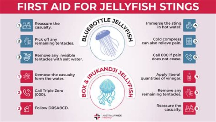 How do you prevent box jellyfish?
