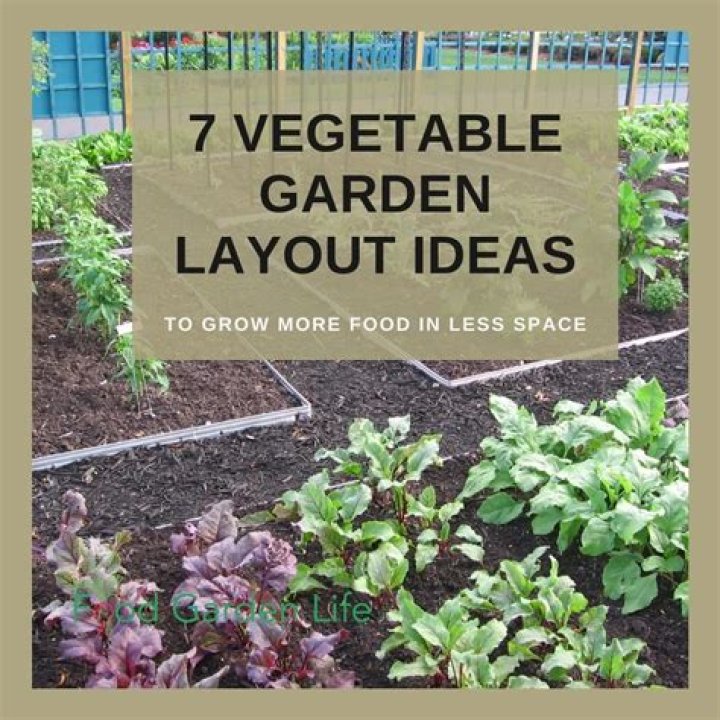How do you rat proof a vegetable garden?