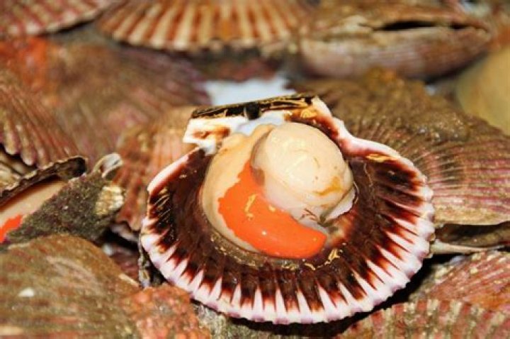 How do you remove roe from scallops?